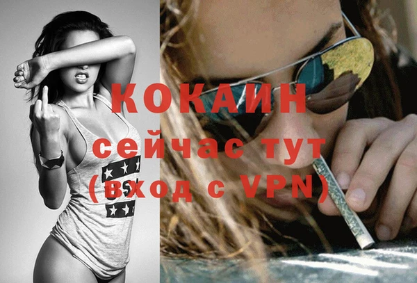 шишки Балахна
