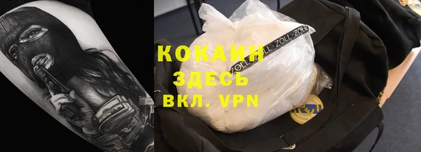 шишки Балахна