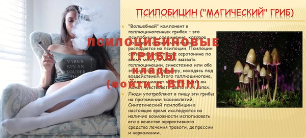 ALPHA-PVP Баксан