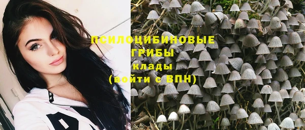 шишки Балахна