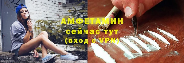 шишки Балахна