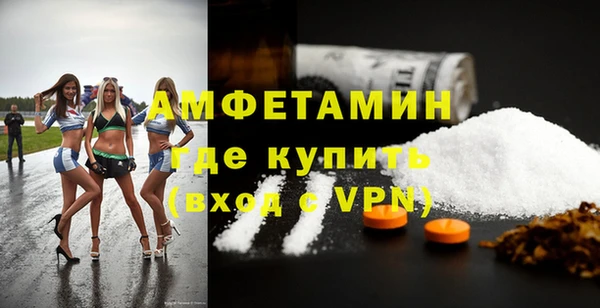 шишки Балахна
