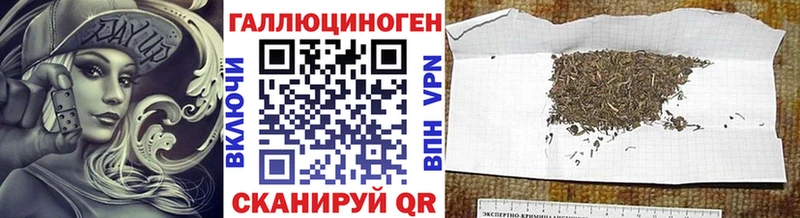 omg сайт Заволжск Галлюциногенные грибы Magic Shrooms